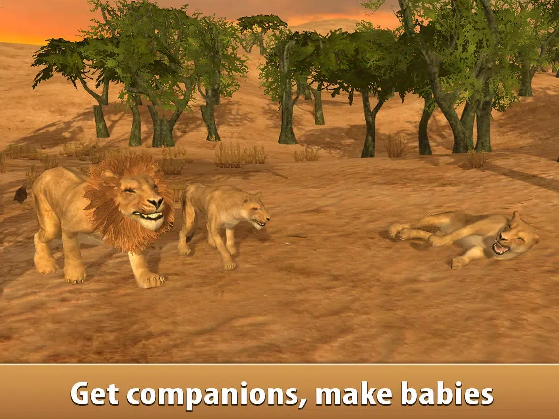 Lion Simulator: Wild African Animal iPad  Screenshots
