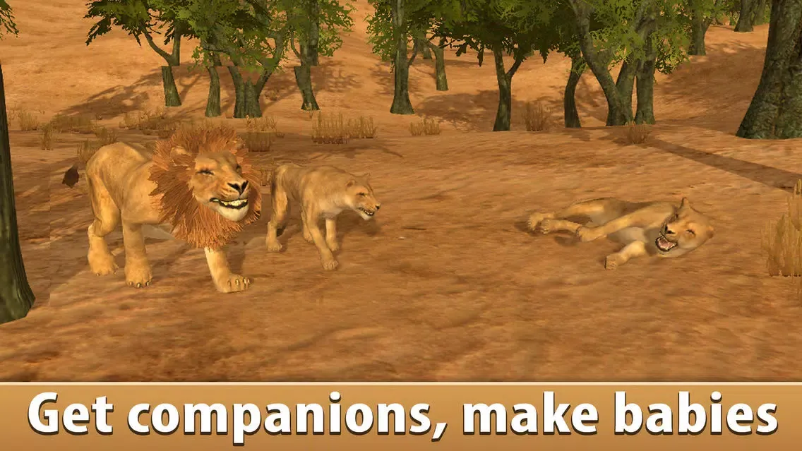 Lion Simulator: Wild African Animal Screenshots