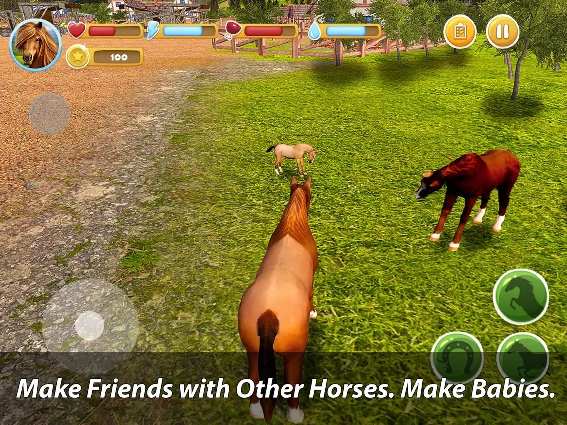 Magic Horse Quest Full iPad 应用截图