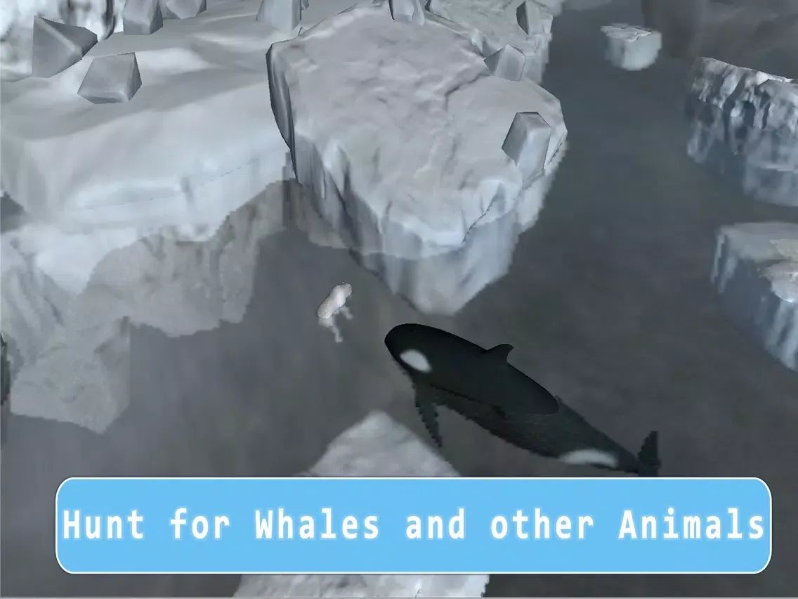 Orca Killer Whale Survival Simulator 3D Full - Play as orca, big ocean predator! iPad  سکرین شاٹس