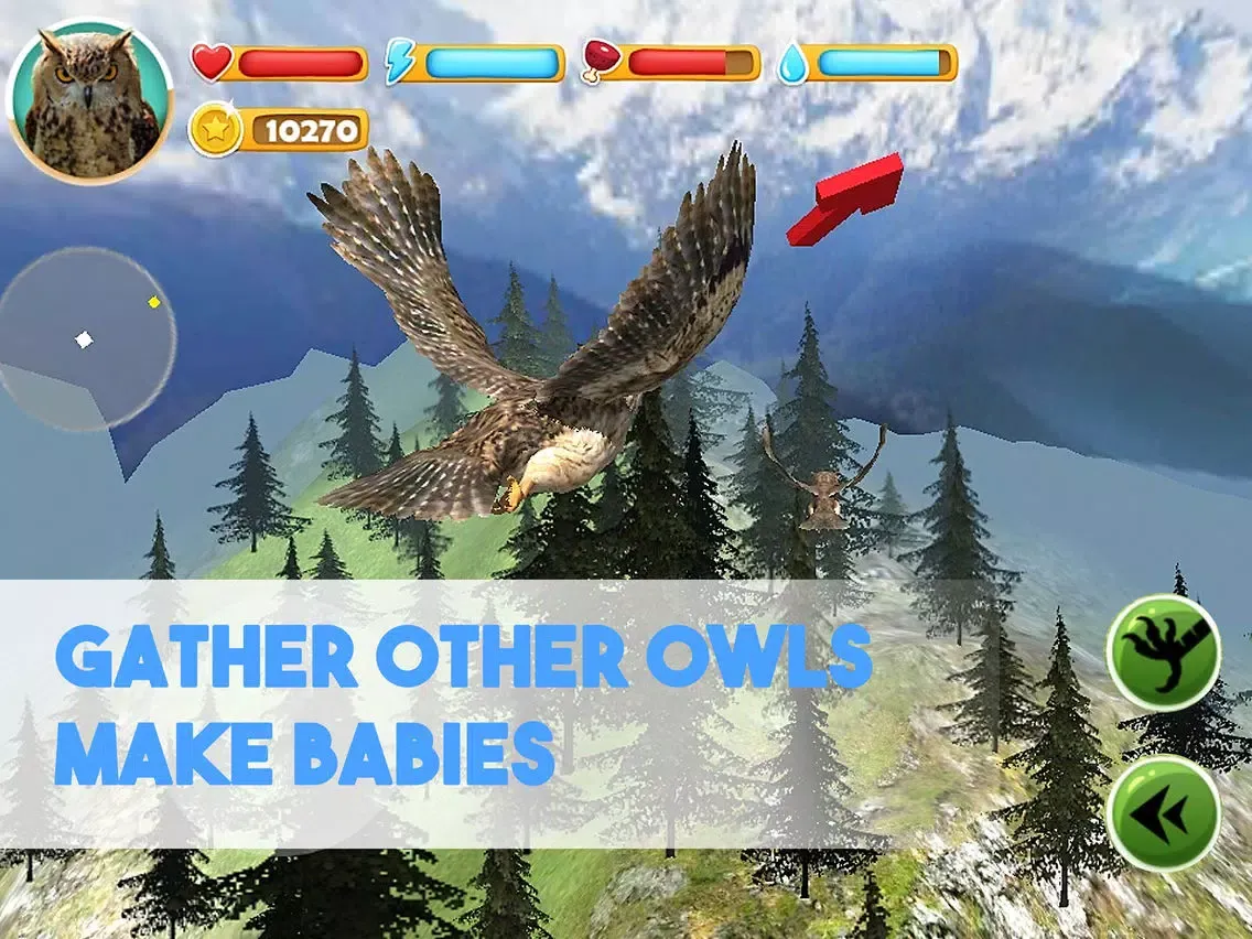 Forest Owl Simulator Full - Be a wild bird! iPad 應用截圖