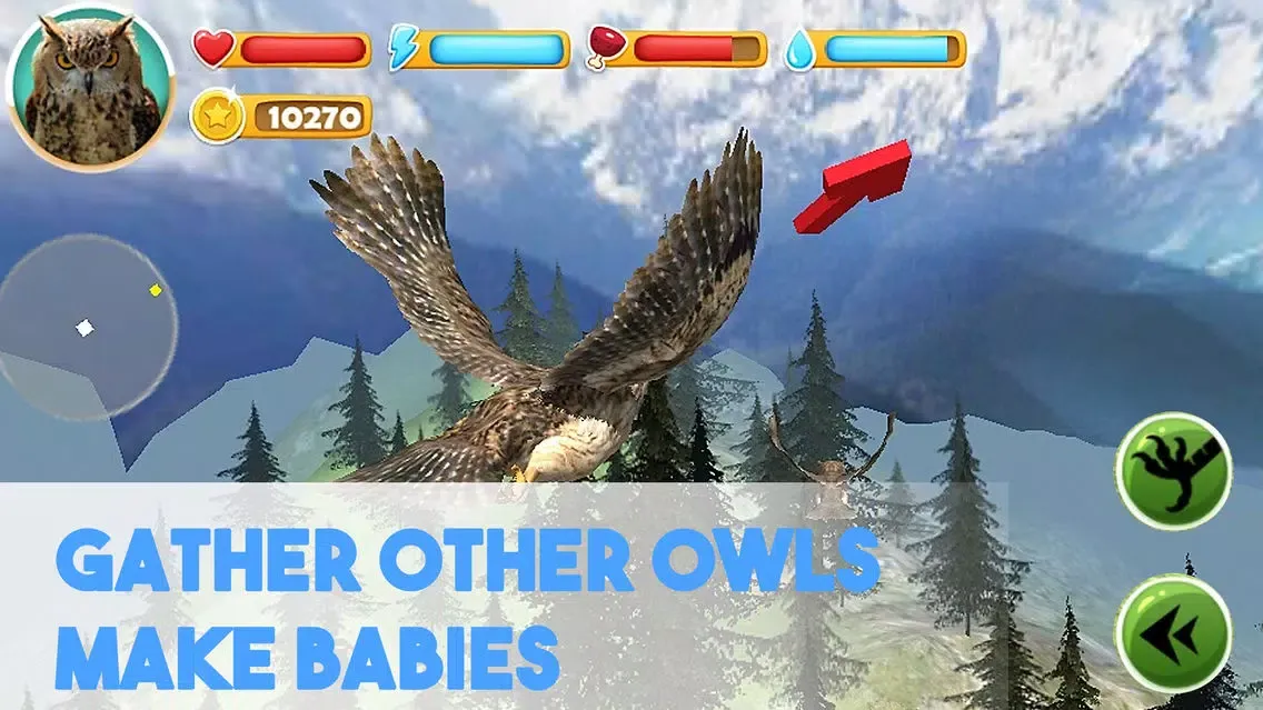 Forest Owl Simulator Full - Be a wild bird!應用截圖