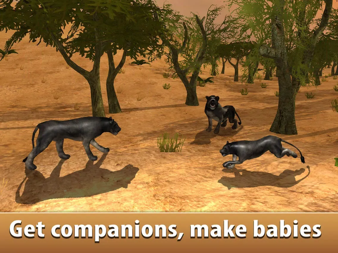 Black Wild Panther Simulator 3D Full - Be a wild cat in animal simulator! iPad 應用截圖