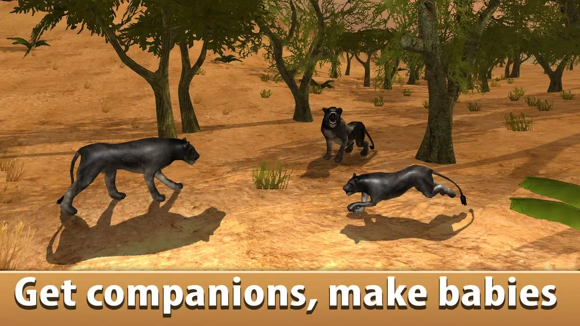Black Wild Panther Simulator 3D Full - Be a wild cat in animal simulator!應用截圖