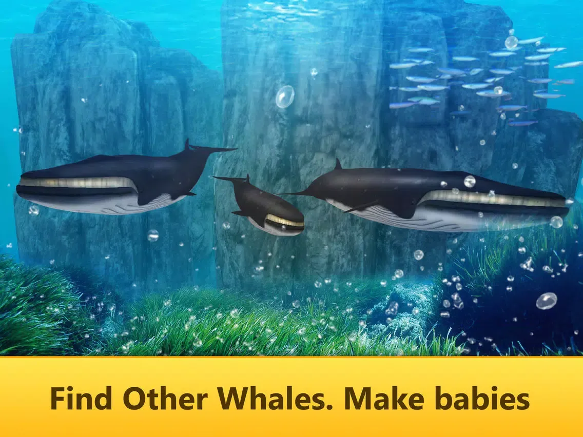 تصاویر Ocean Whale Simulator: Animal Quest 3D Full iPad 