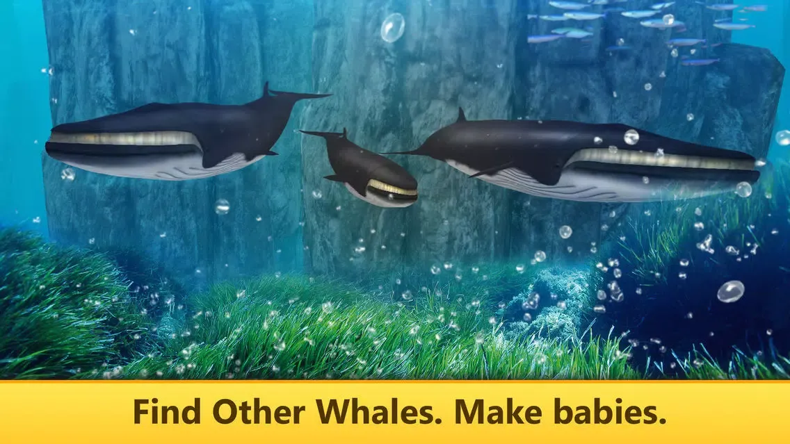 تصاویر Ocean Whale Simulator: Animal Quest 3D Full