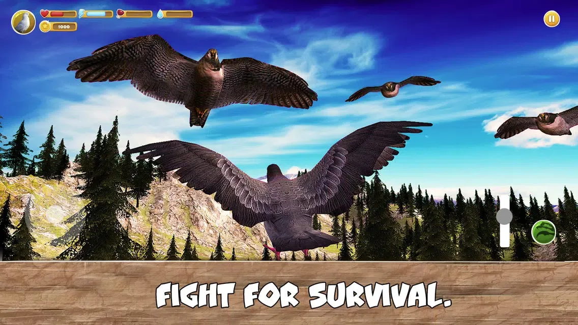 Zrzuty ekranu Wild Pigeon Simulator Full