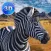 Zebra Simulator 3D Full - African Horse Survival