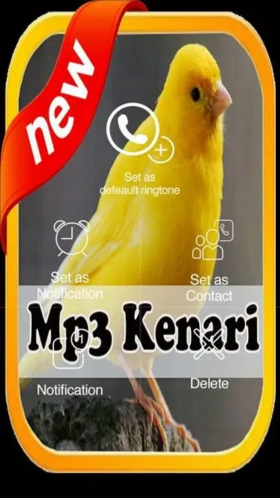 Kumpulan Suara Burung Kenari Screenshots