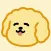 cuteee poodle