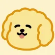 cuteee poodle cuteee poodle