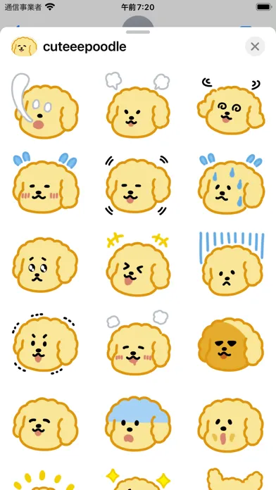 Captures d'écran de cuteee poodle
