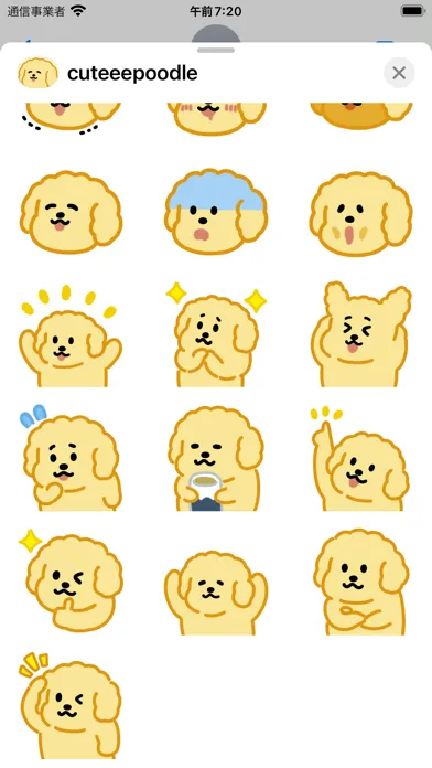 Captures d'écran de cuteee poodle