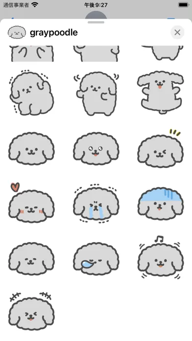 Screenshot di gray poodle sticker