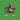 Macaco Jumper
