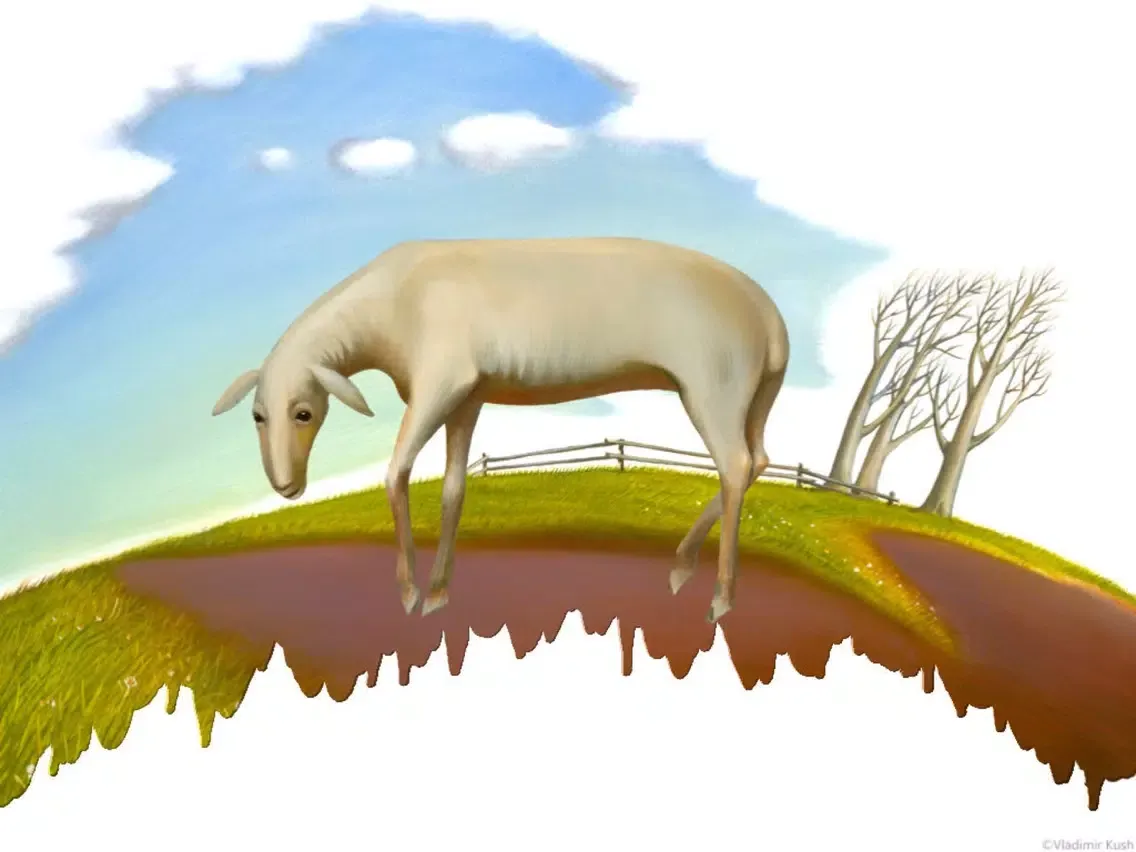 Aries the Sheep For Collectors iPad  Screenshots