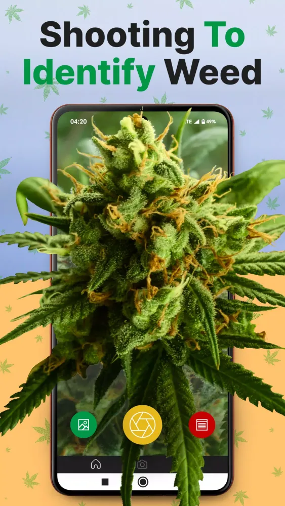 Kush Scan: AI Weed Identifier スクリーンショット