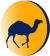 Kutch XP