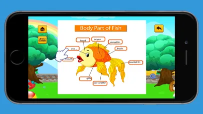 English Vocabulary Beginner Ekran Görüntüleri