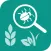 Plant Identification - 植物识别
