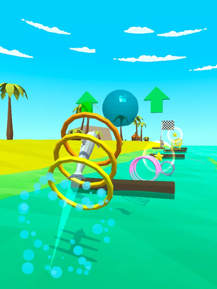 Captures d'écran de Dolphin Hoops iPad 