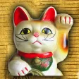 CatAndGold CatAndGold