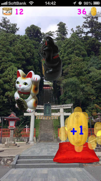 صور CatAndGold