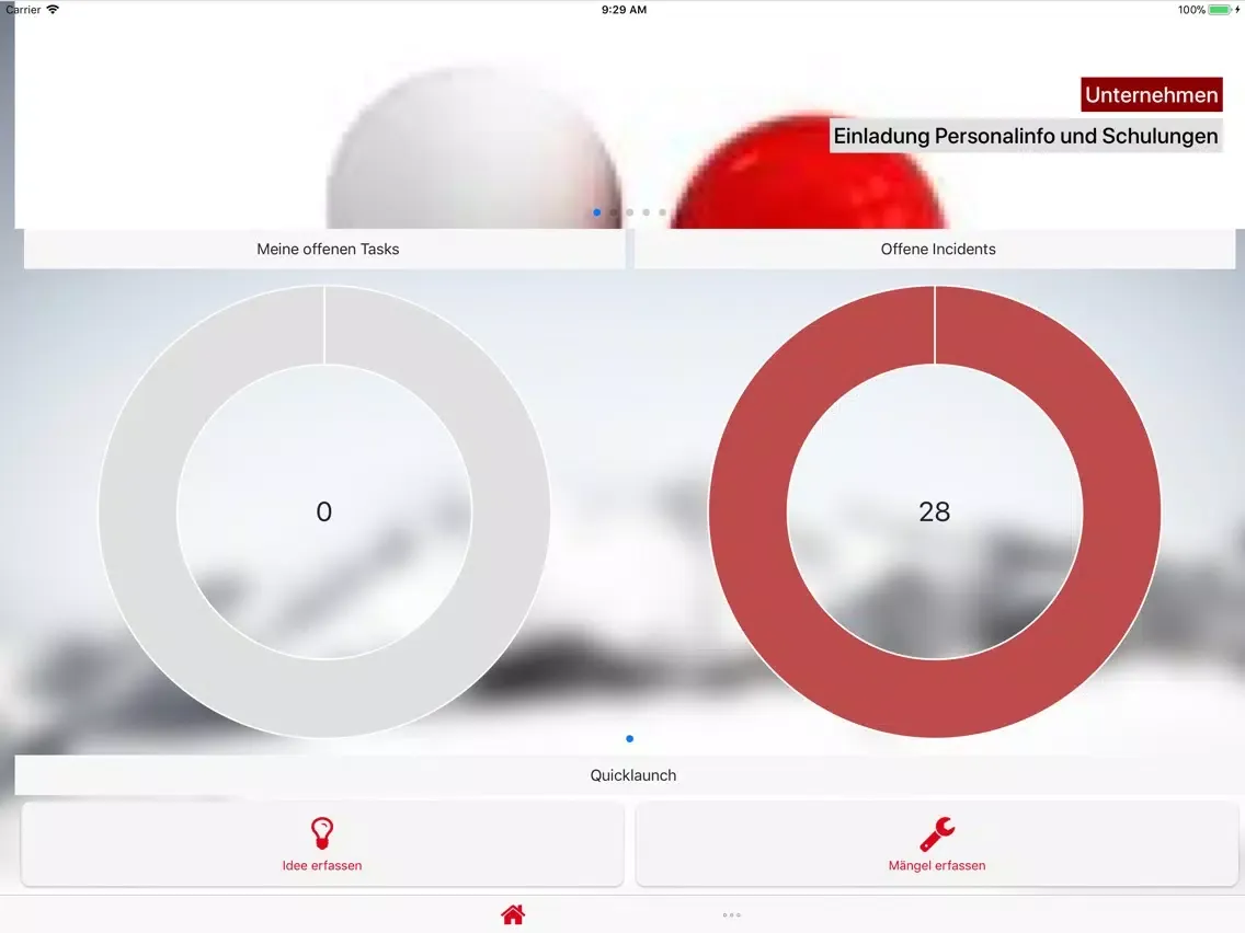 Helping Hand Pizol iPad 應用截圖