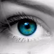 Color Highlight - Recolor Grayscale Photo Editor Free Color Highlight - Recolor Grayscale Photo Editor Free
