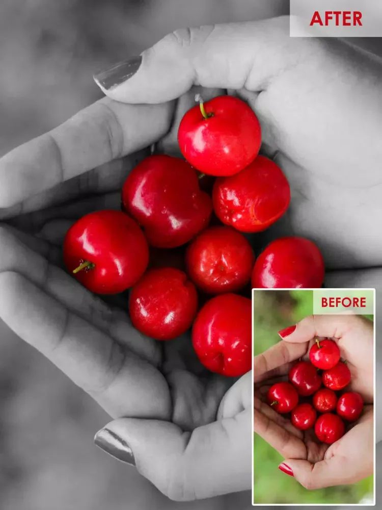 Color Highlight - Recolor Grayscale Photo Editor Free iPad  스크린샷