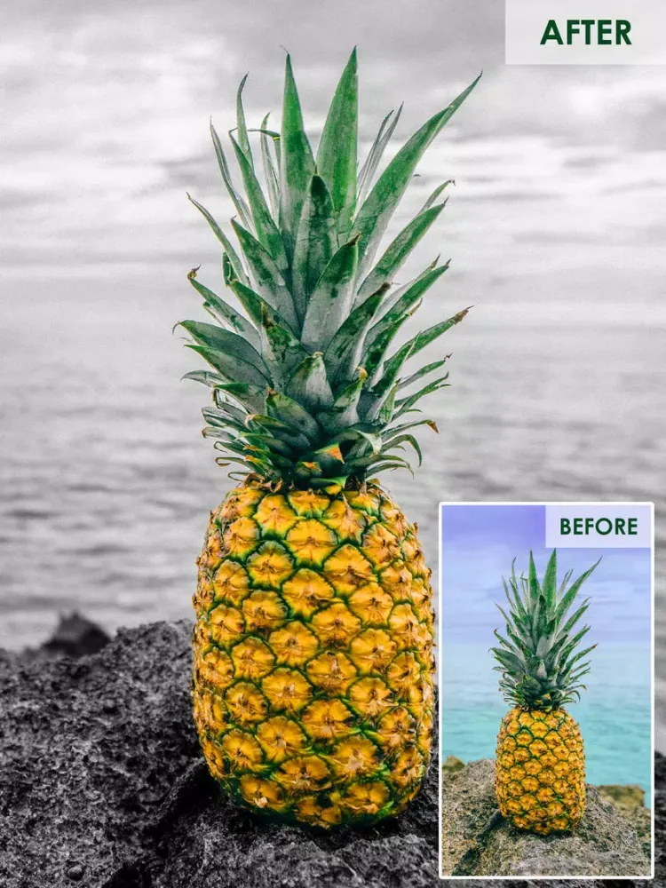 Color Highlight - Recolor Grayscale Photo Editor Free iPad  스크린샷