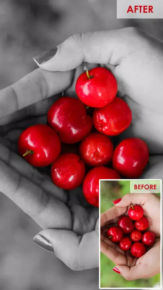 Color Highlight - Recolor Grayscale Photo Editor Free 스크린샷