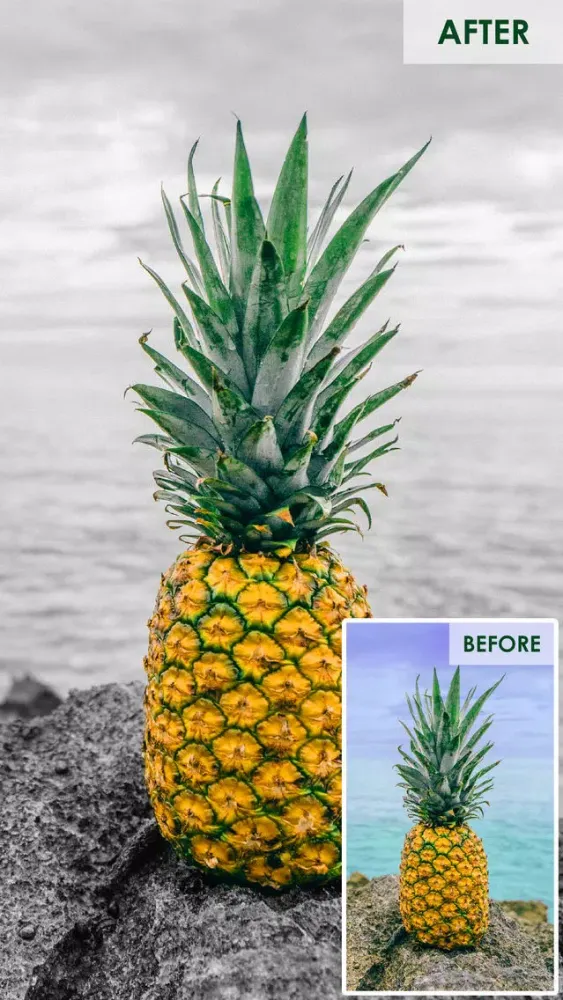 Color Highlight - Recolor Grayscale Photo Editor Free 스크린샷