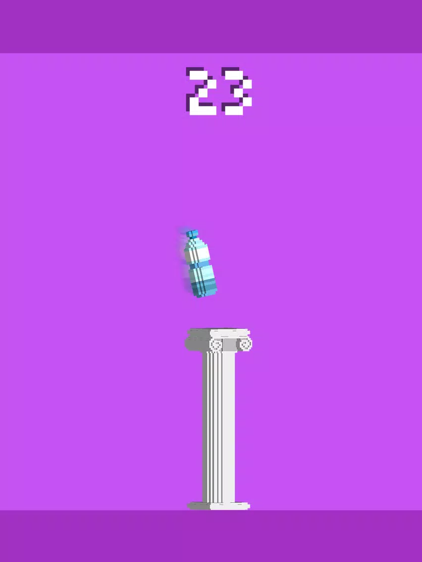 Water Bottle Flip WBF 2K17 Voxel Pro iPad  Screenshots
