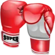 Referee Assistant (Boxing)
