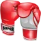 Referee Assistant (Boxing)