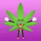 Pot Stickerz