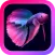 Bettarium