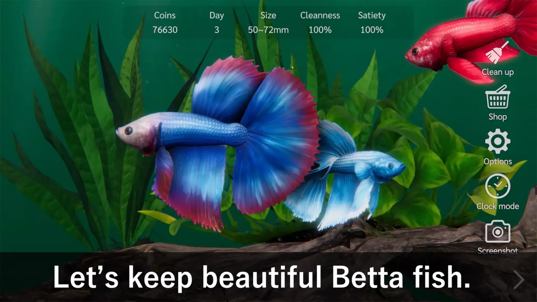 Bettarium Screenshots