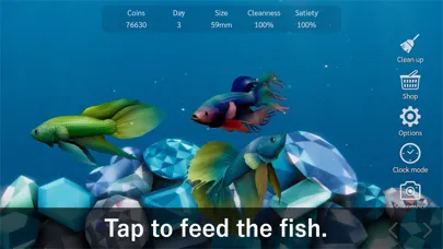 صور Bettarium - Betta Fish Tank