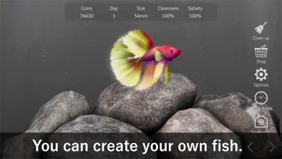 صور Bettarium - Betta Fish Tank