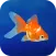 Goldfish