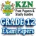 Grade 12 KZN