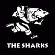 The Sharks Clubs & Schools