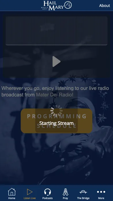 Hail Mary Media Screenshots