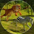 Safari Hunting – Sniper Shooting