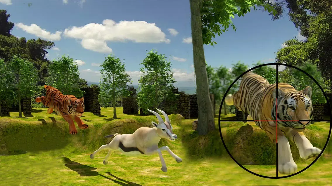 Safari Hunting – Sniper Shooting Screenshots