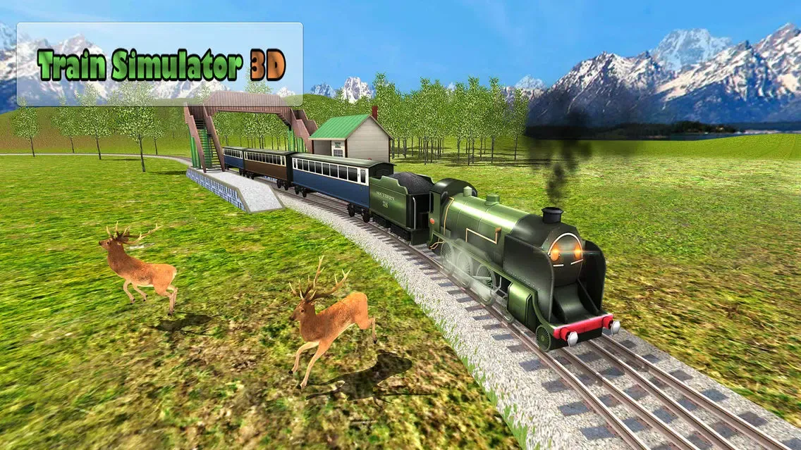 Train Simulator -Drive Train Engines স্ক্রিনশট