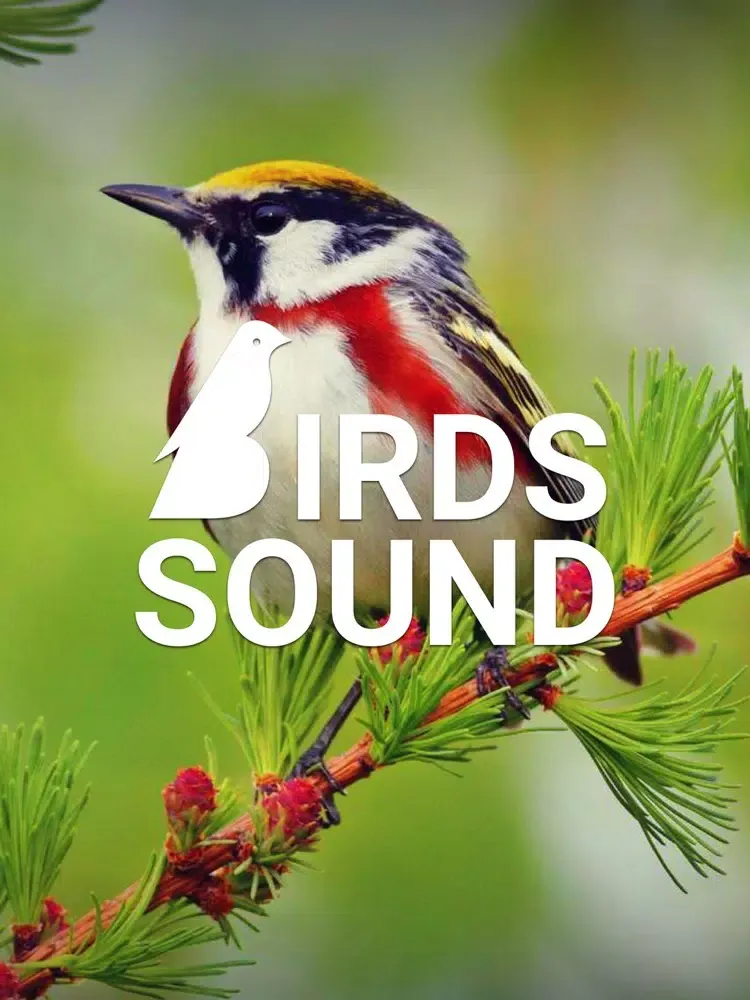 Capturas de pantalla de Bird Sounds of Nature 2020 iPad 