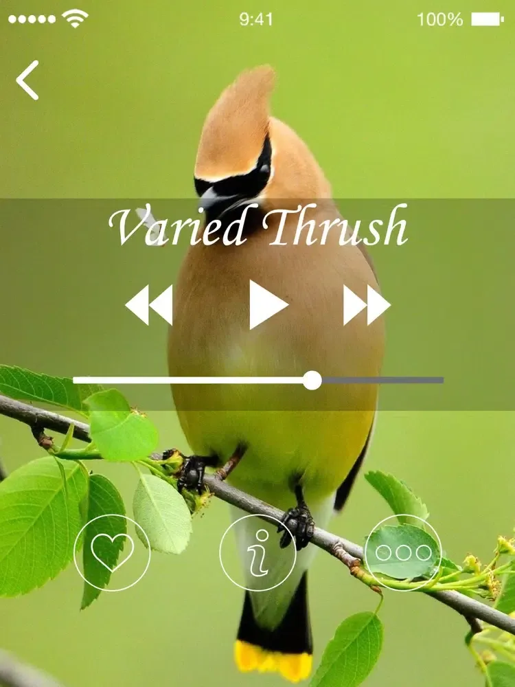 Capturas de pantalla de Bird Sounds of Nature 2020 iPad 